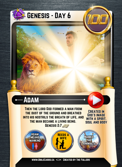 Genesis Edition Bible Cards - Pack of 26 Trading Cards