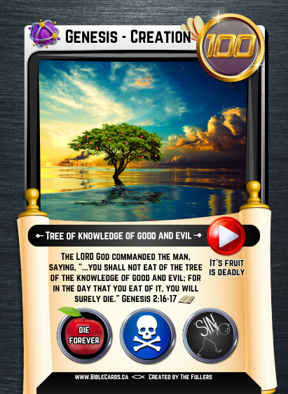 Genesis Edition Bible Cards - Pack of 26 Trading Cards