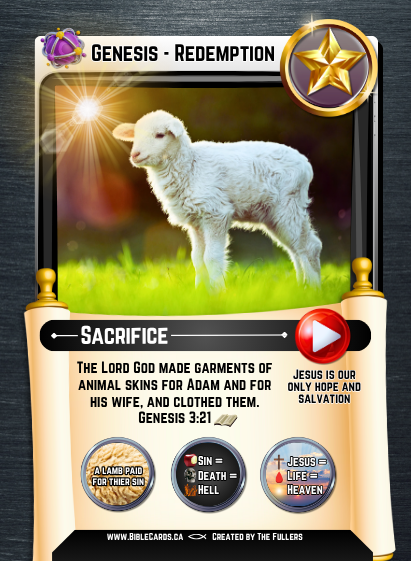 Genesis Edition Bible Cards - Pack of 26 Trading Cards