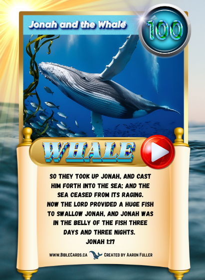 Fruit of The Spirit Edition Bible Cards - Pack of 29 Trading Cards