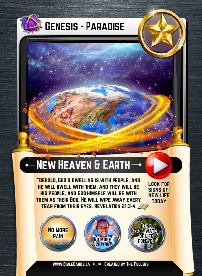 Genesis Edition Bible Cards - Pack of 26 Trading Cards