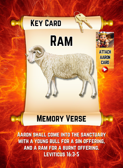 Generations V2 Bible Cards Game - Pack of 72 Playing & Trading Cards