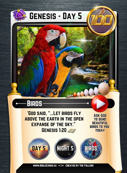 Genesis Edition Bible Cards - Pack of 26 Trading Cards